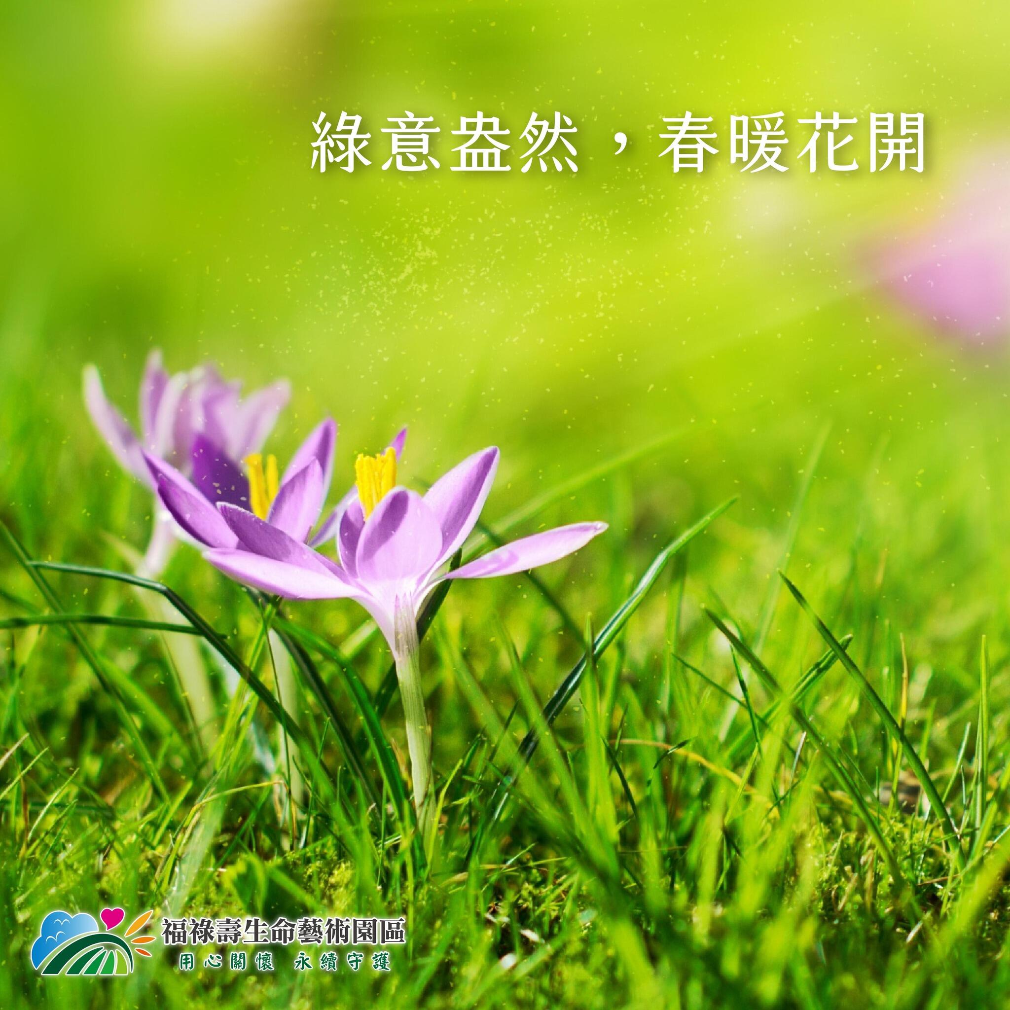 春天的腳步一步步近了